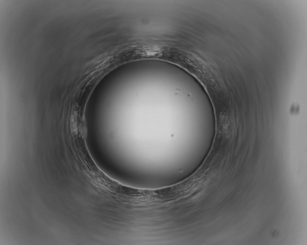 X0000097491442200802221404