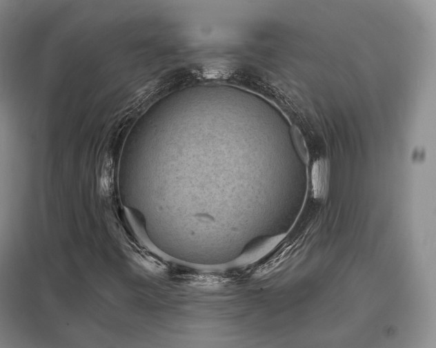 X0000097491443200802221404