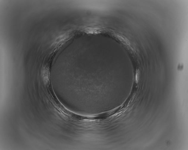 X0000097491444200802221404