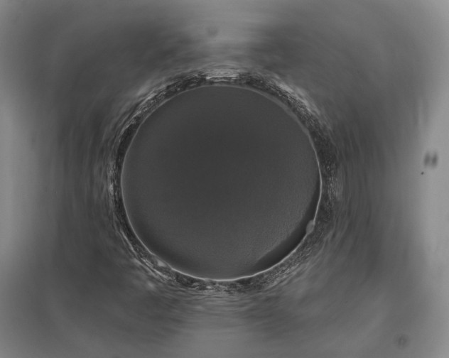 X0000097491445200802221404