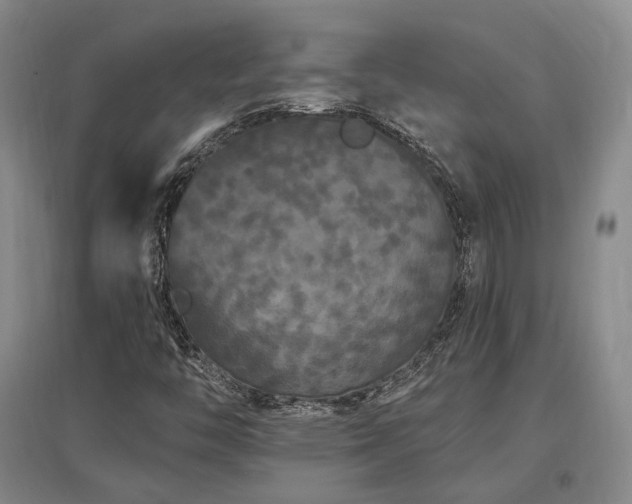 X0000097491446200802221404