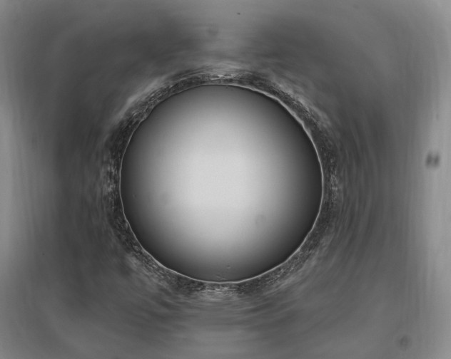 X0000097491447200802221404