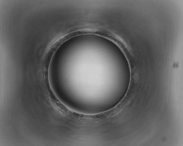 X0000097491448200802221404