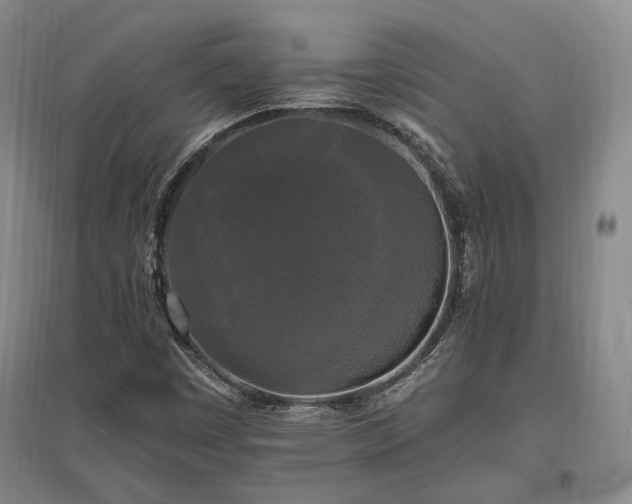 X0000097491449200802221404