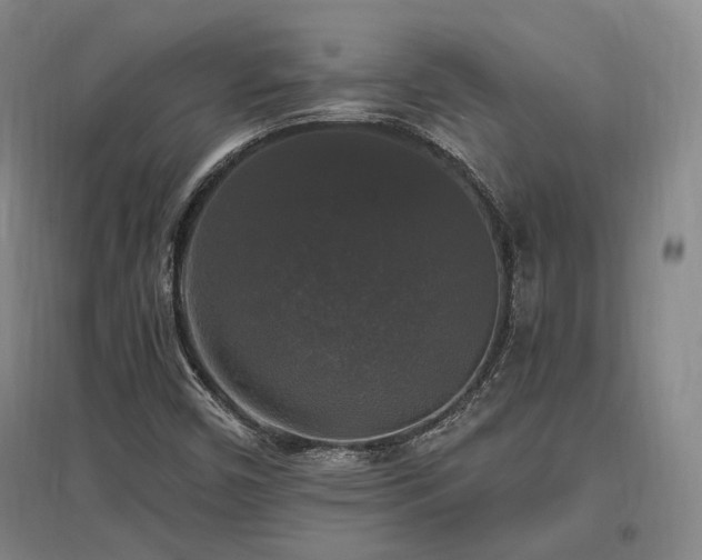 X0000097491450200802221404