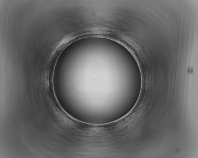 X0000097491451200802221404