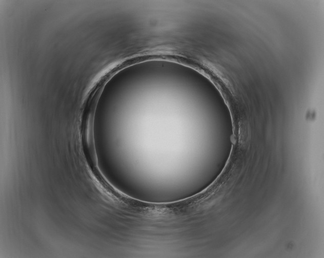 X0000097491452200802221404