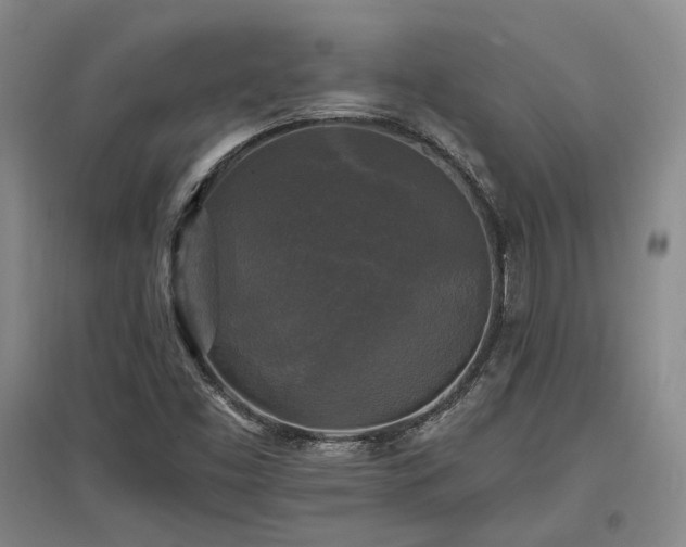 X0000097491453200802221404