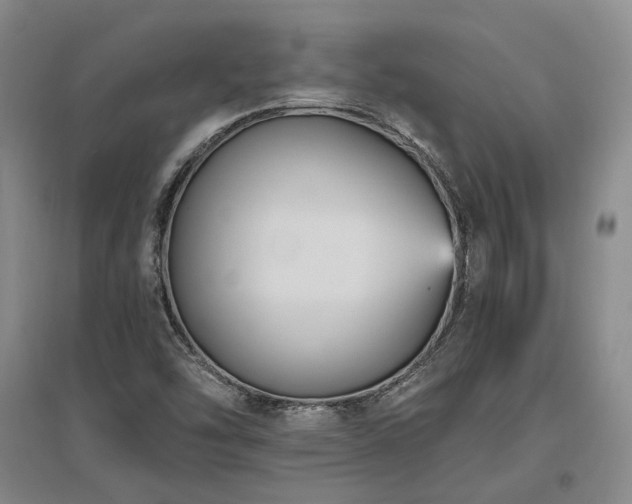 X0000097491454200802221404