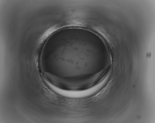 X0000097491455200802221404