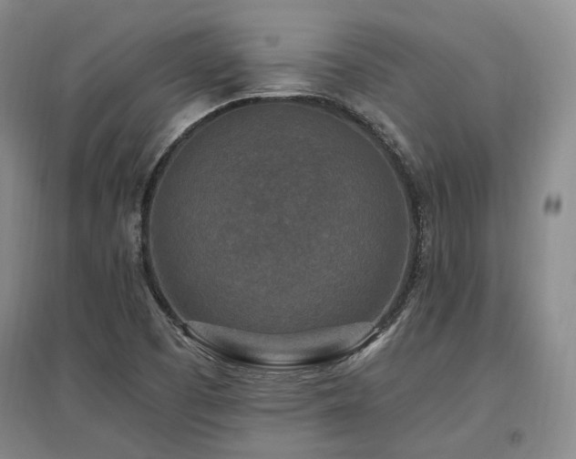X0000097491457200802221404