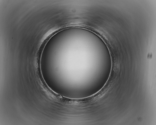 X0000097491458200802221404