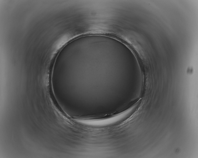 X0000097491459200802221404