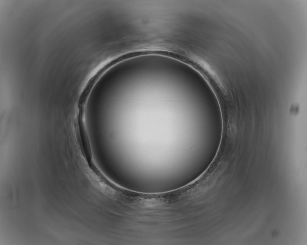 X0000097491460200802221404