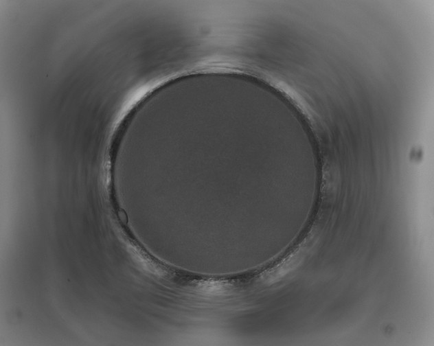 X0000097491461200802221404