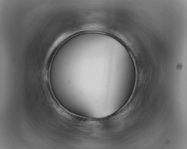 X0000097491462200802221404