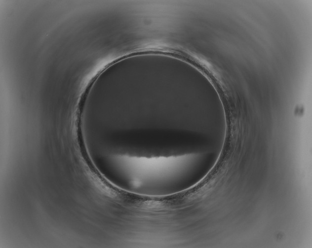 X0000097491463200802221404