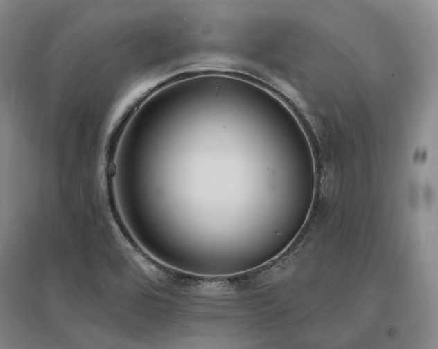 X0000097491464200802221404