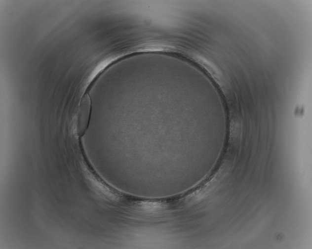 X0000097491465200802221404