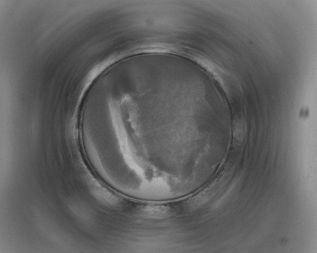 X0000097491466200802221404