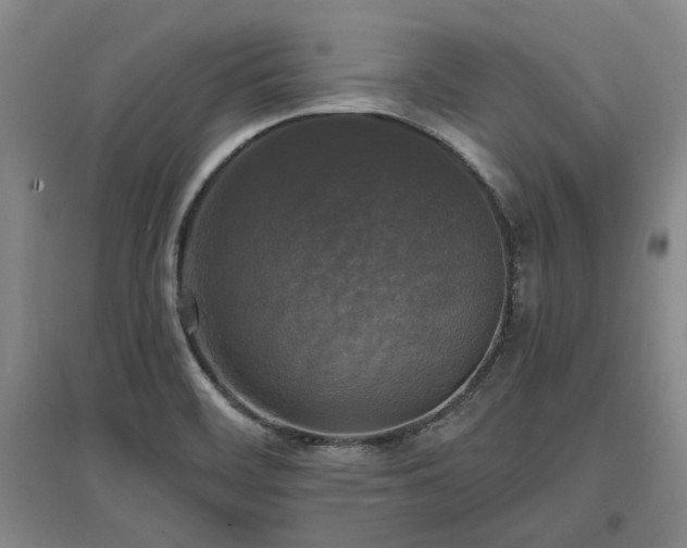 X0000097491468200802221404