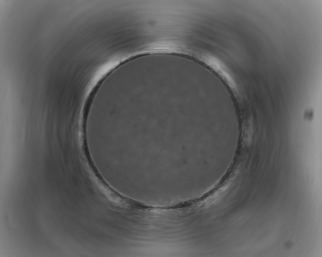 X0000097491469200802221404