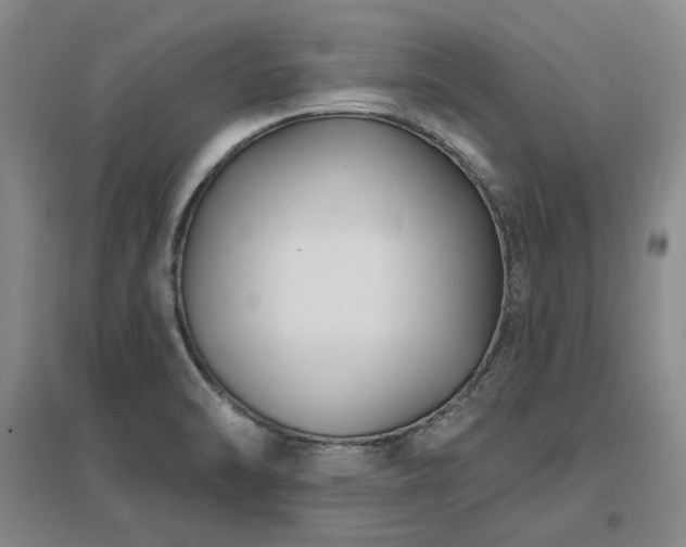 X0000097491470200802221404