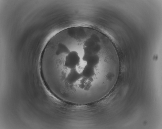 X0000097491471200802221404