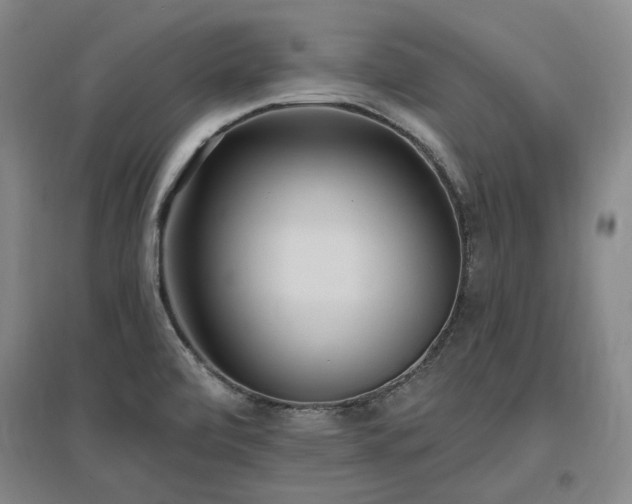 X0000097491472200802221404