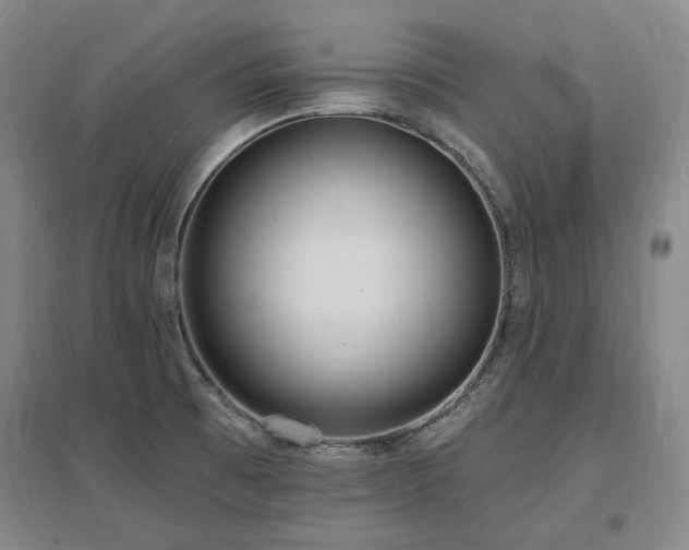 X0000097491473200802221404