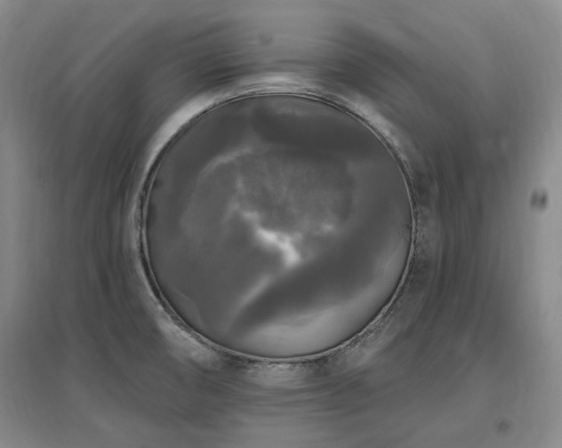X0000097491474200802221404