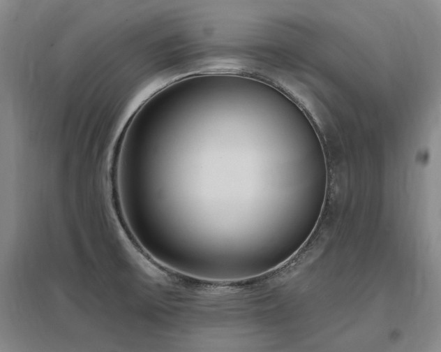 X0000097491475200802221404