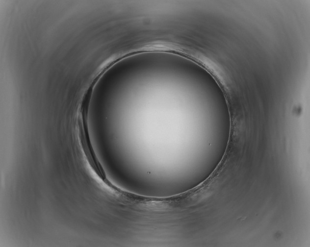 X0000097491476200802221404