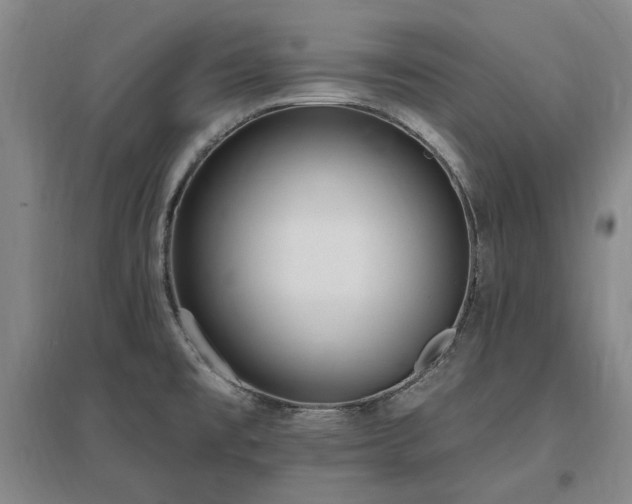 X0000097491477200802221404