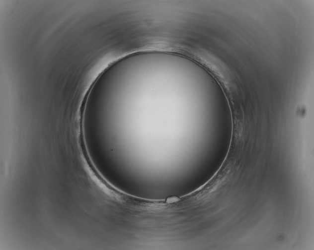X0000097491479200802221404
