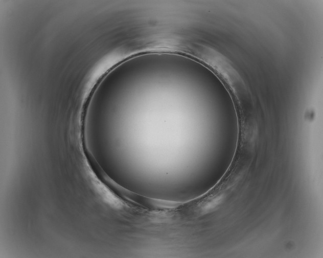 X0000097491480200802221404