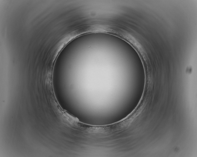 X0000097491481200802221404