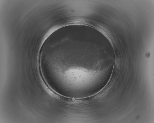 X0000097491482200802221404