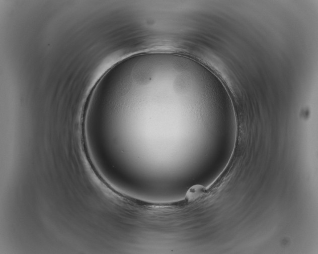 X0000097491483200802221404