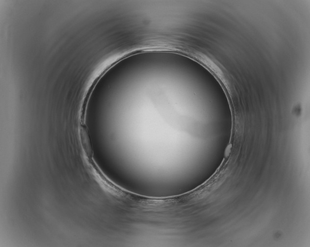 X0000097491485200802221404