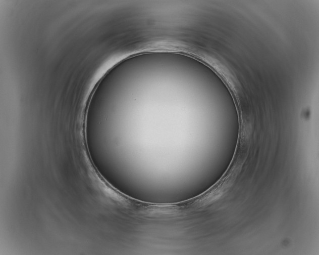 X0000097491486200802221404