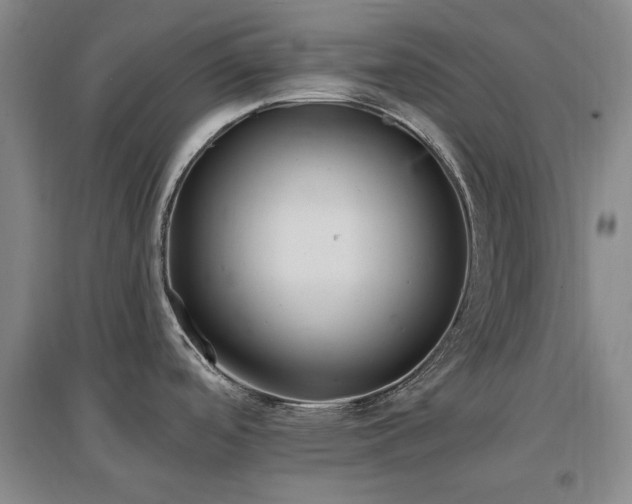 X0000097491488200802221403