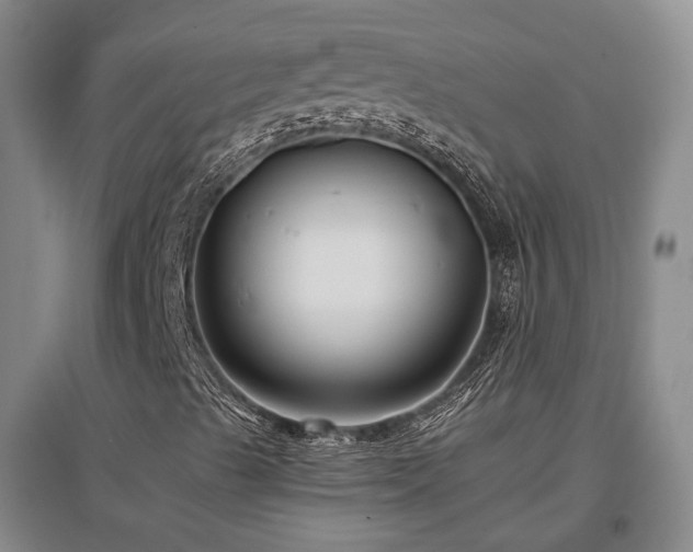 X0000097491489200802221403