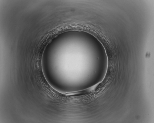 X0000097491490200802221403