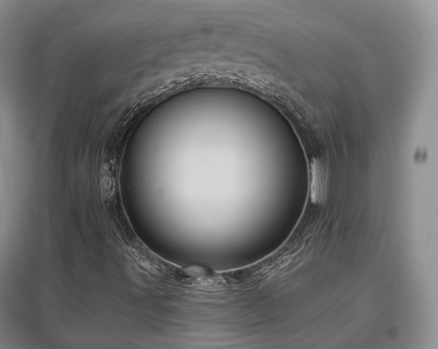 X0000097491491200802221403