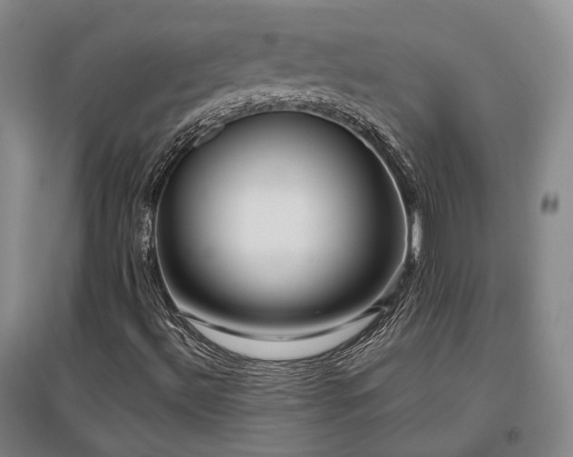 X0000097491492200802221403