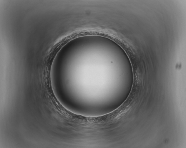 X0000097491494200802221403