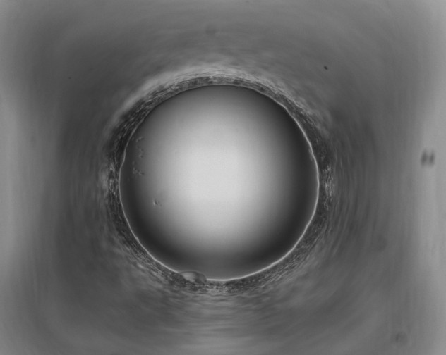 X0000097491495200802221403
