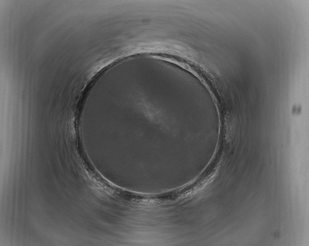 X0000097491497200802221403