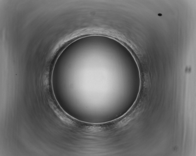 X0000097491499200802221403